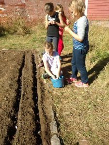 4th-gd-planting-garlic