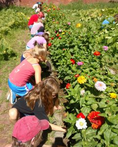 img_20160809_113506780