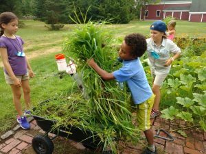 camp-weeding-the-beds